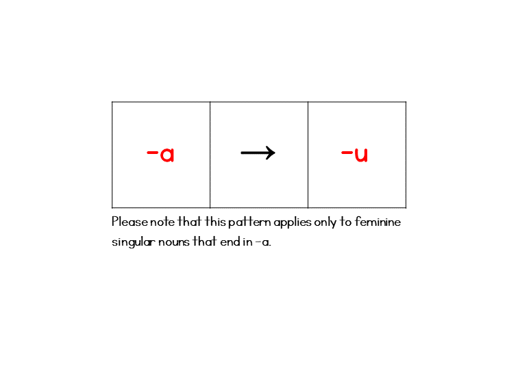 Diagram showing the Serbian feminine noun ending change to -u in the accusative singular.